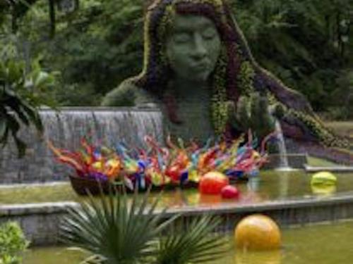 Multicolor tipped plants in an elaborate fountain
