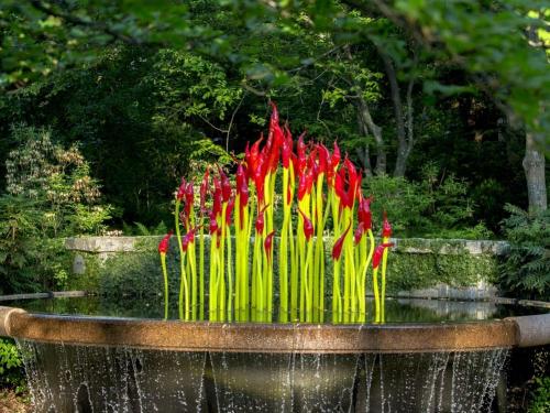 Red-tipped plants in water fountain