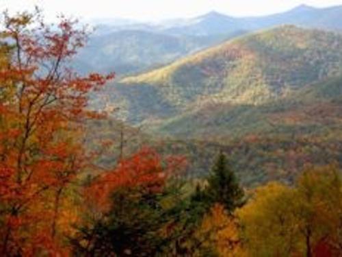Fall colors in the mountains