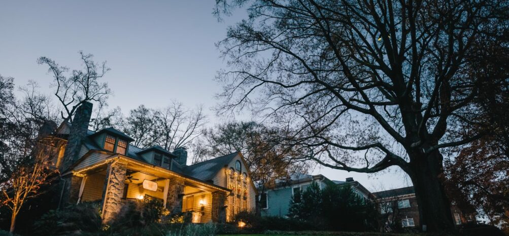 Tree at Stonehurst Place