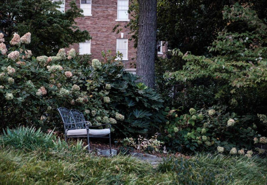 Metal bench in gardes in Stonehurst Place