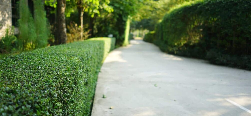Pathway on the Atlanta BeltLine Trail