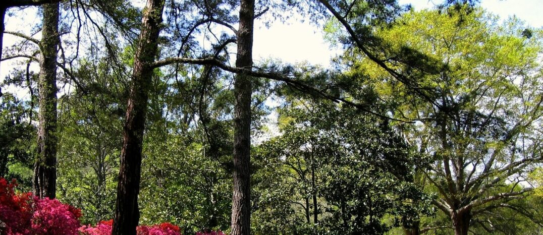 Fun day trips from Atlanta