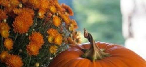 Pumpkin in Fall
