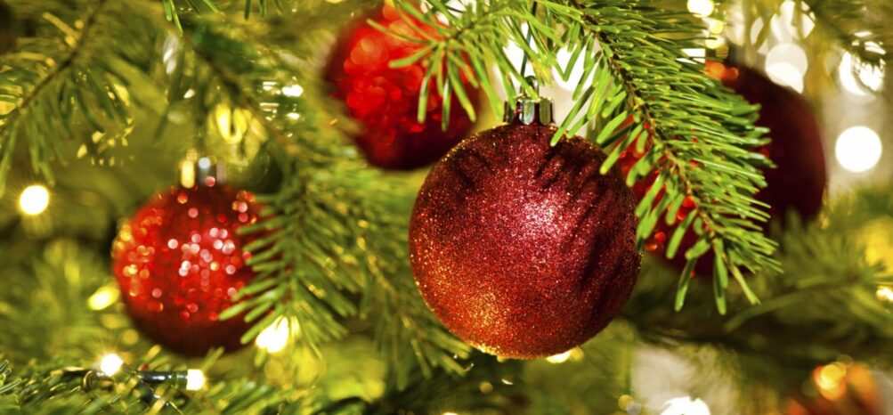 Decorated Christmas tree at Jungle Bells at Zoo Atlanta